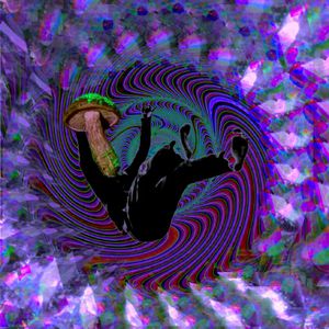 免费看黄的成人app
