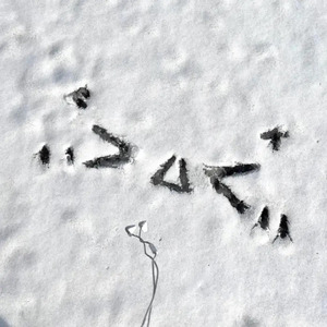 疯狂❌喷水自慰观看免费
