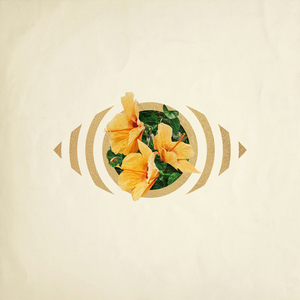 2O2O年正版先锋诗
