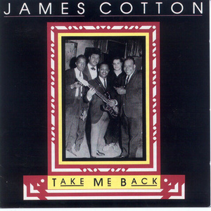 免费看黄的成人app
