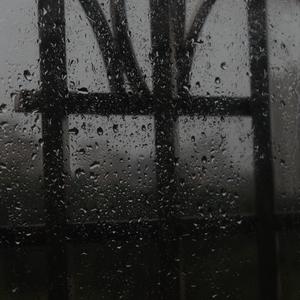 免费看黄的成人app
