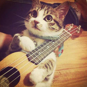 2O2O年正版先锋诗
