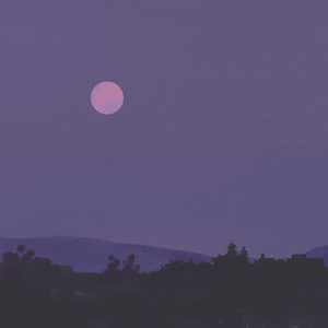 2O2O年正版先锋诗
