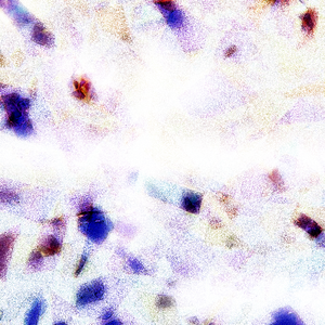 按摩精油和高潮精油区别
