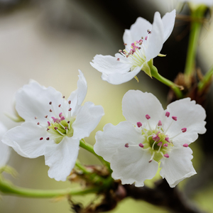按摩精油和高潮精油区别
