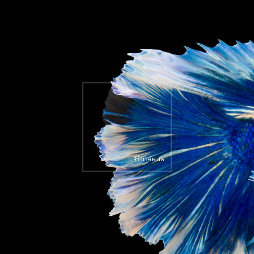 按摩精油和高潮精油区别
